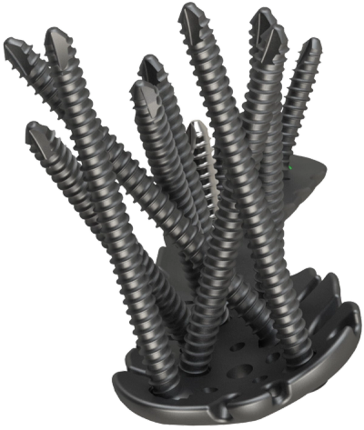 Proximal Humerus Anatomical Locking Plating System
